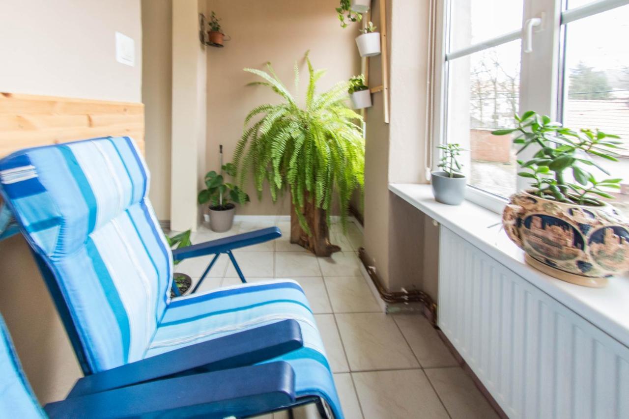 Apartamenty Izerskie - Ul. Wczasowa 8 Świeradów-Zdrój 外观 照片