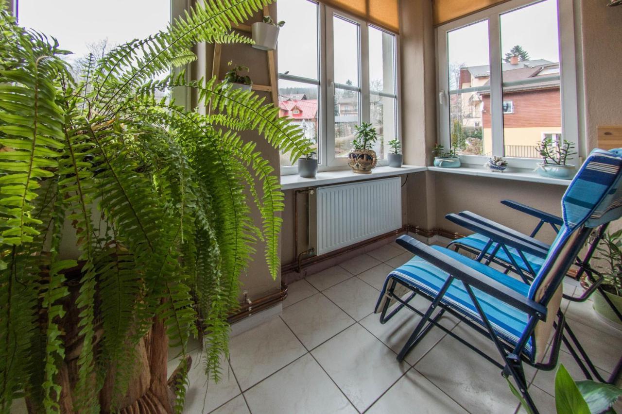 Apartamenty Izerskie - Ul. Wczasowa 8 Świeradów-Zdrój 外观 照片